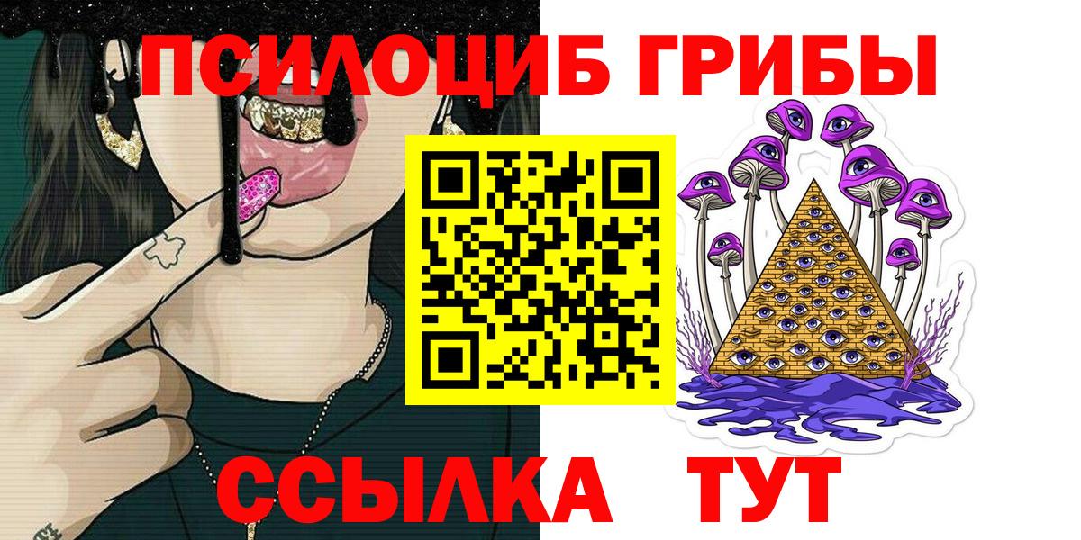 Псилоцибиновые грибы Psilocybe Краснокамск